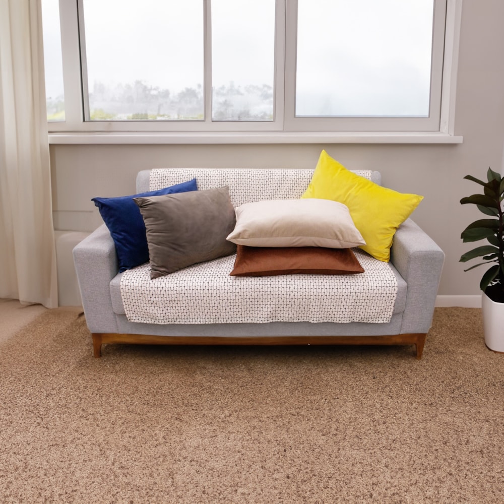 image_bd97b446-1008-4153-a8b6-e9bb2642bd4d