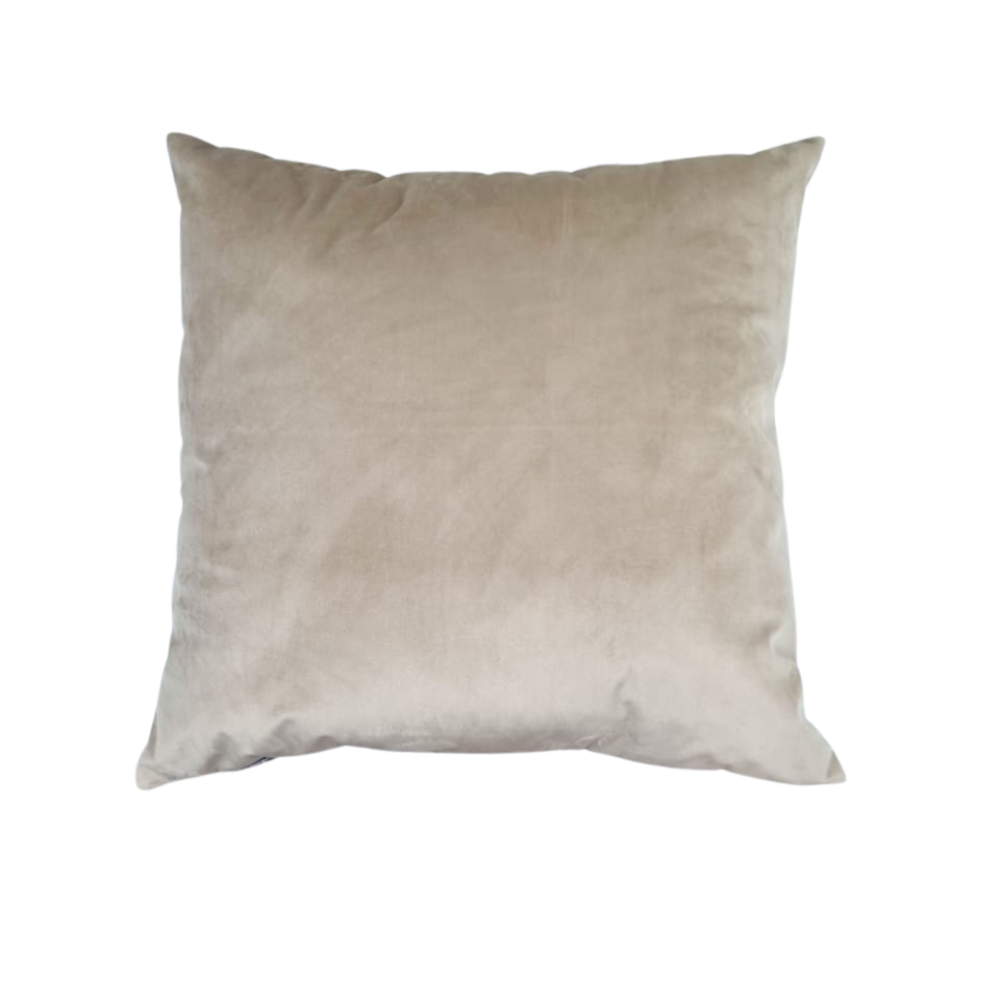 image_52ecbaa9-b428-4c9b-a61d-457fc71442c7