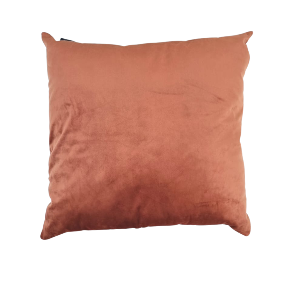 image_0df5c549-f738-42df-9de9-7b864d1ff911