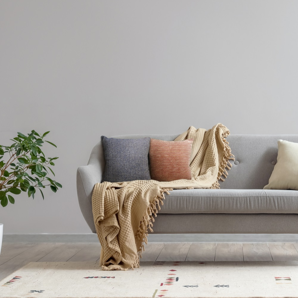 image_2ada6cf6-31cd-4273-8cb2-fb11e229af80