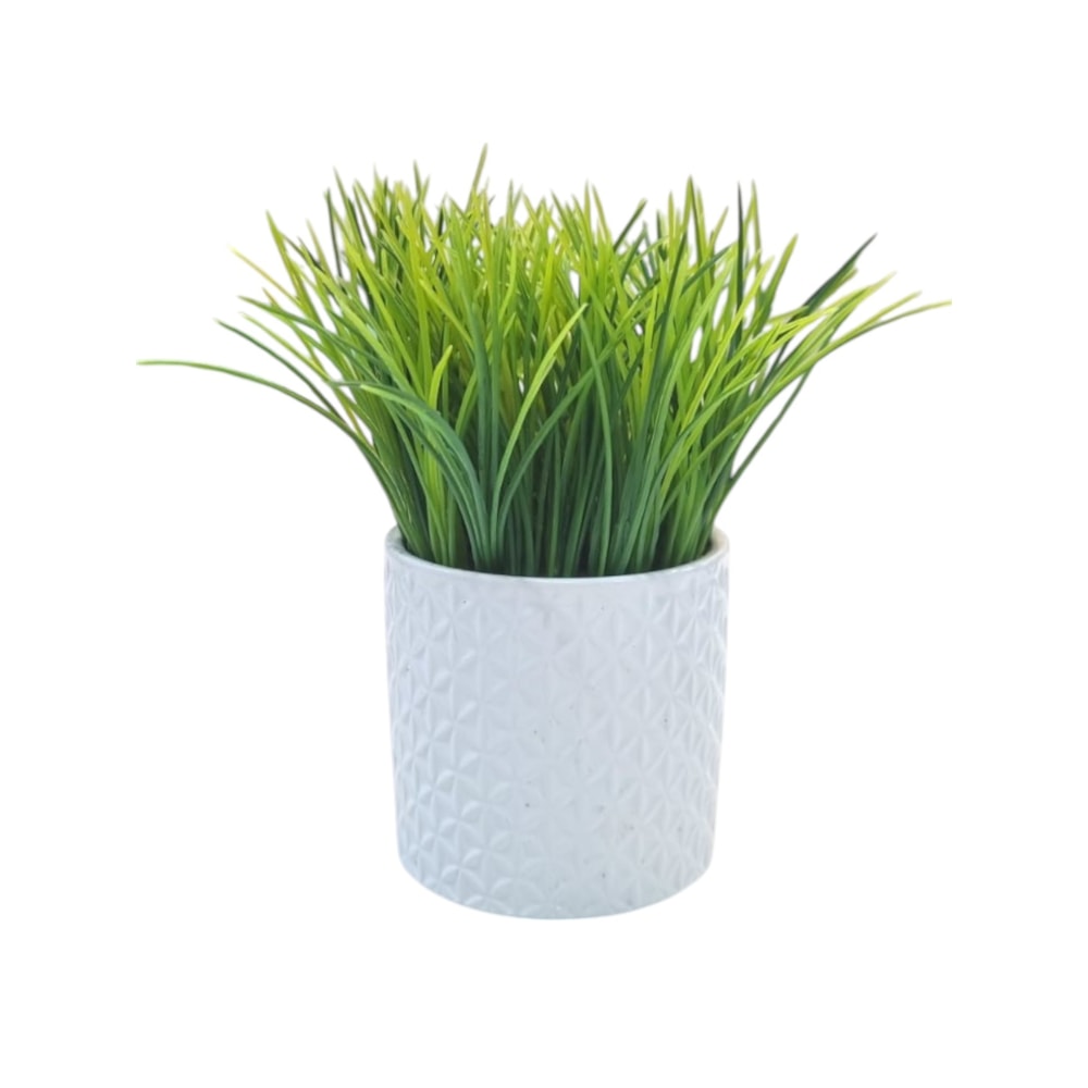 image_d84a403e-e95b-48be-8ddf-f3bb1285d705