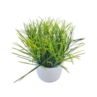 Imagem de Produto