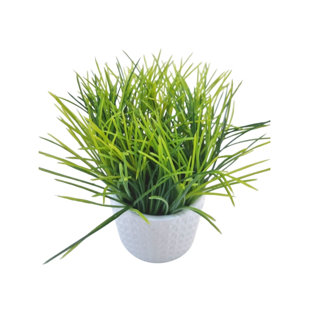 image_6e2aa917-89b7-4973-8c08-ad427dfe2223