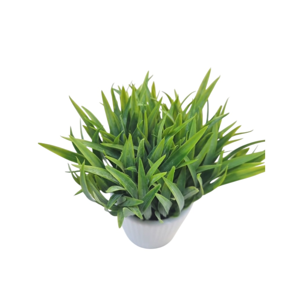 image_102e44ee-0779-49a1-a1c2-23cd55a07adc