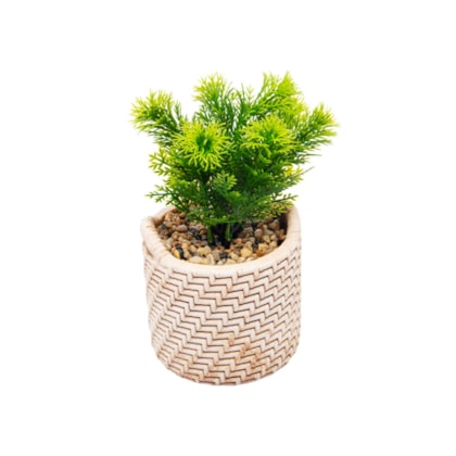 image_50d2cafc-d419-4342-9797-7fc06aecf06b