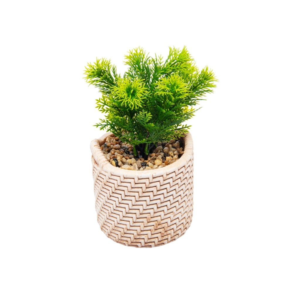 image_6b6ca24a-7291-4b5b-939b-3a7fab21bbb6