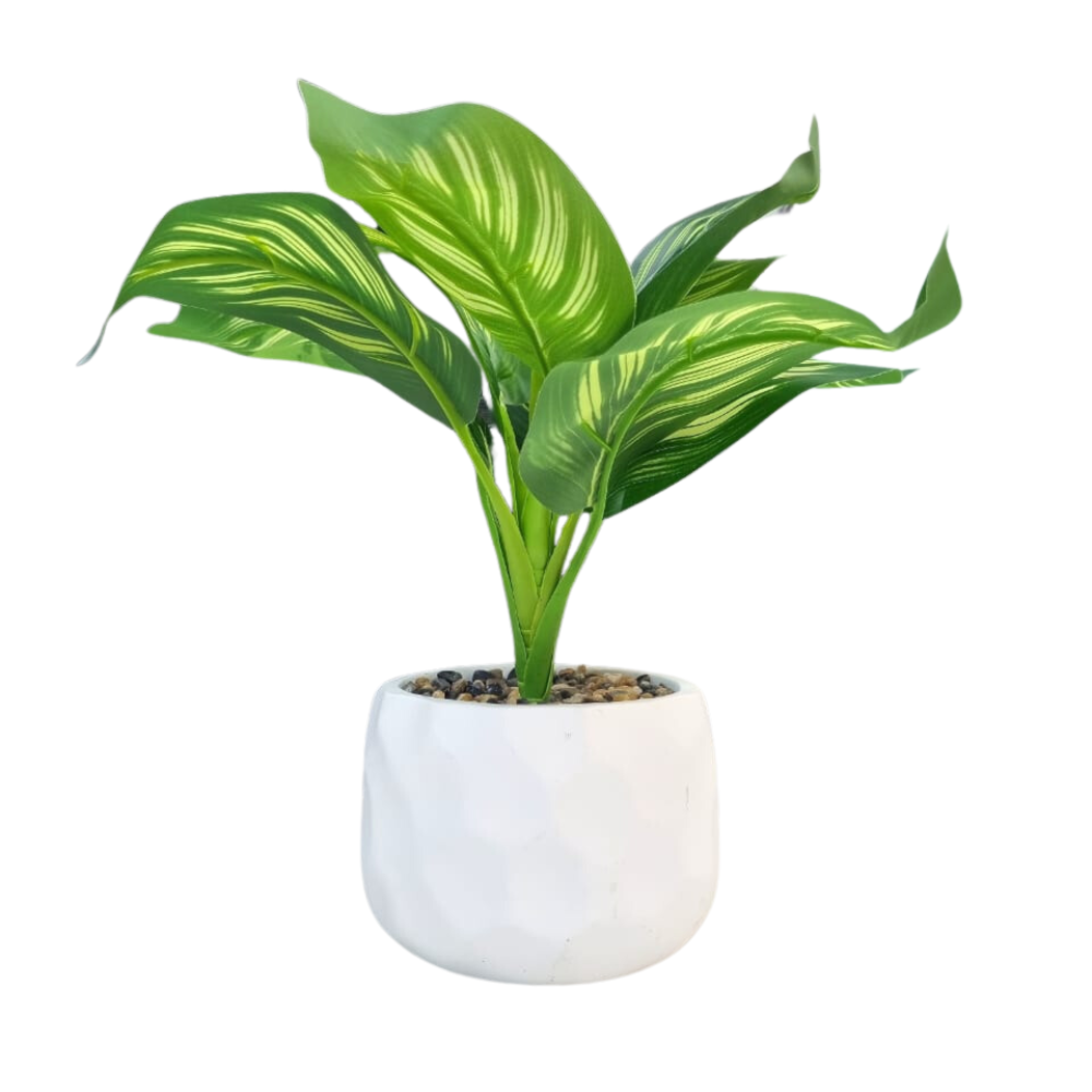 image_f595fa11-b5e0-4fd0-baf8-ca9e98d224ab