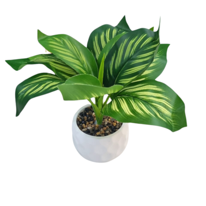 image_f33a0107-8a40-44b9-ab5c-0d0cf7ce9cb8