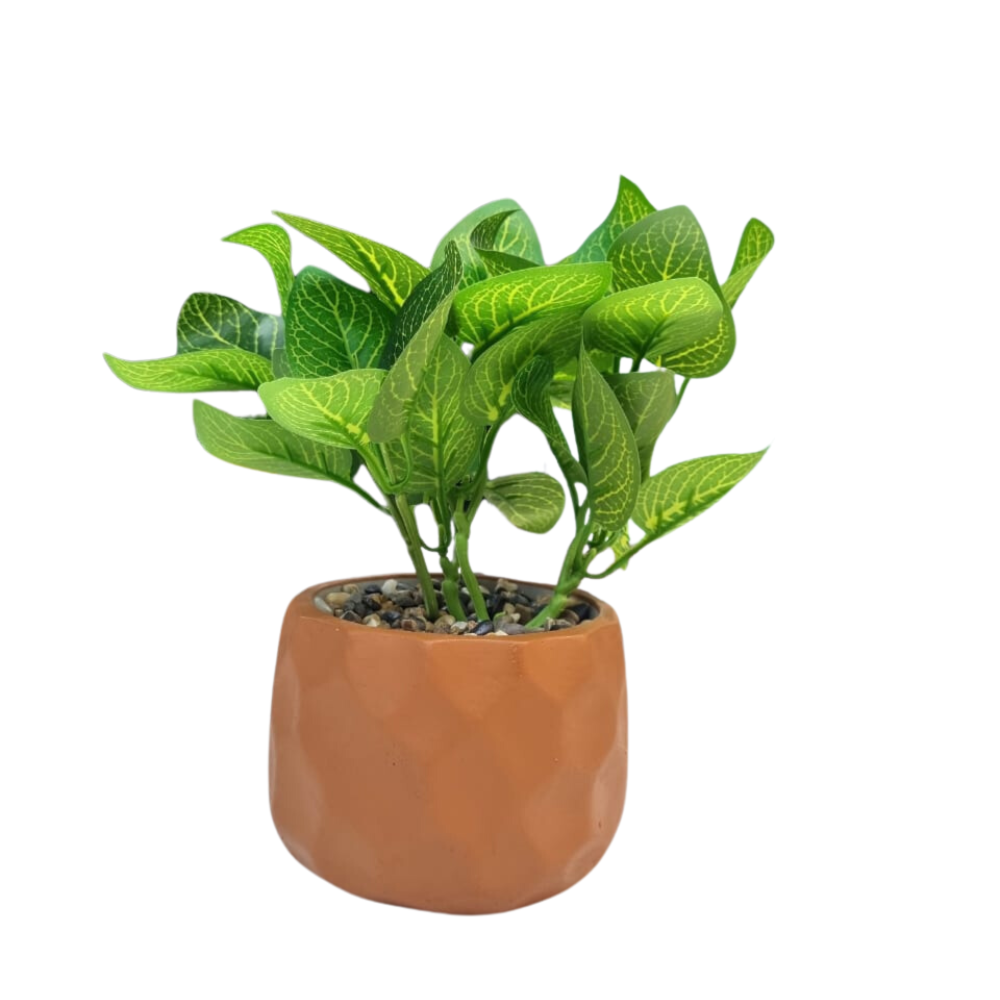 image_9e9fd171-ade2-4fa1-b2d6-09133d899253