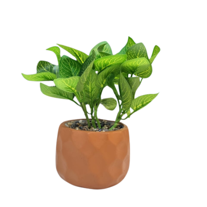 image_6935b364-3462-4c6e-b1b5-3cc0550862f8