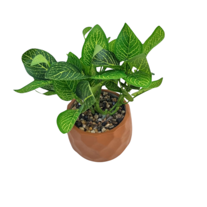 image_df4d62ed-1699-43bd-9056-d80a173946c7