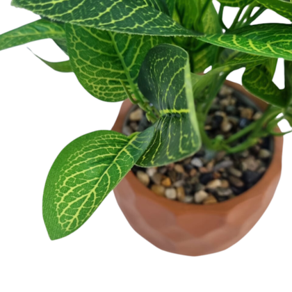 image_013b6fb8-6cab-44ab-a6e7-d928c4473107