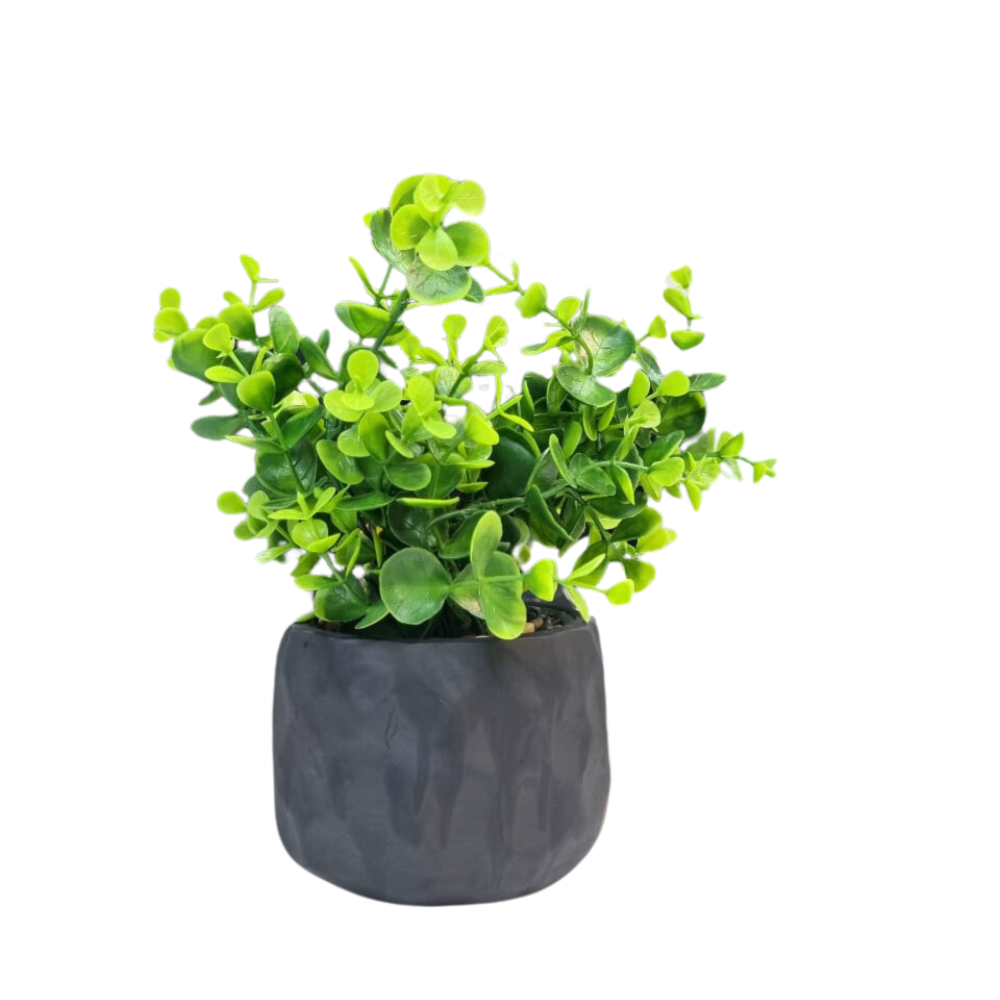 image_08493fb7-7490-4618-bb0a-33fa724ad538