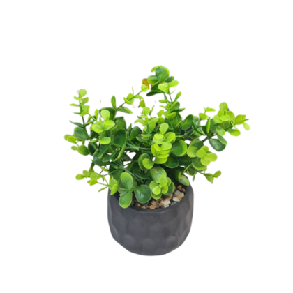 image_a80a79e3-e24e-446c-9f5e-94ce48c8253b