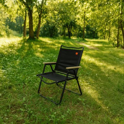 image_c81a00d9-f334-4db8-808e-d32fea9f3653