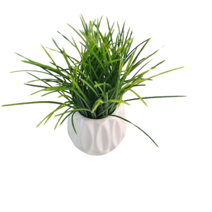 image_6046d9e5-f1ca-4253-81f4-3bb27427af85