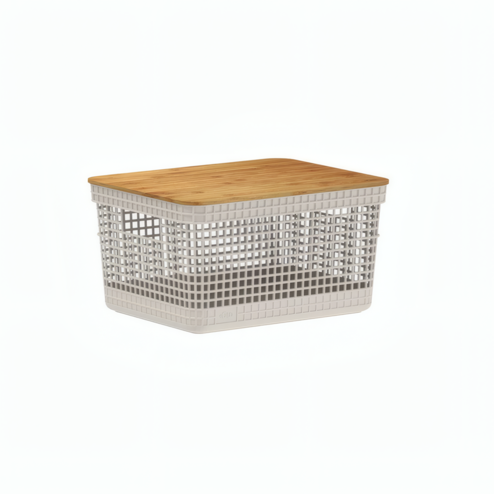 image_29aa37a8-1b68-46e7-9dea-e62f3b35a2c8