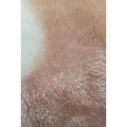 image_ed127afe-0b59-444e-8faa-cac4d512c2e8