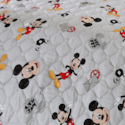 Mickey Work