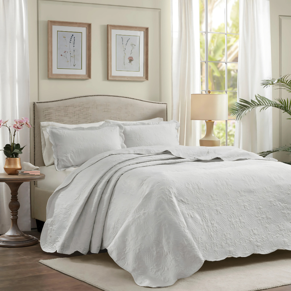 image_85b8711a-ec6e-46a3-ad25-e3748b6adfee