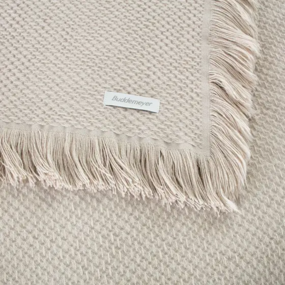 image_e7cc1302-fe1e-475d-bdbb-584b8759ec58