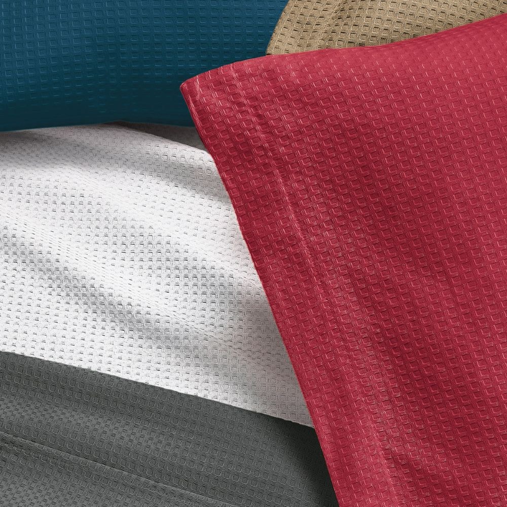 image_e4571898-3141-4199-95fa-5cf1fc492789