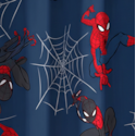 Spider Ultimato