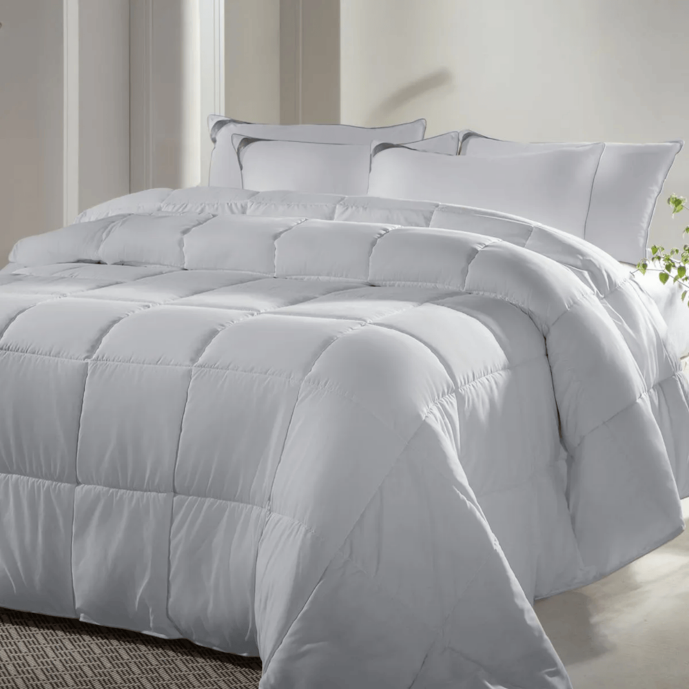 image_d34d1958-5f03-41ad-a0d4-c8537f0e6883