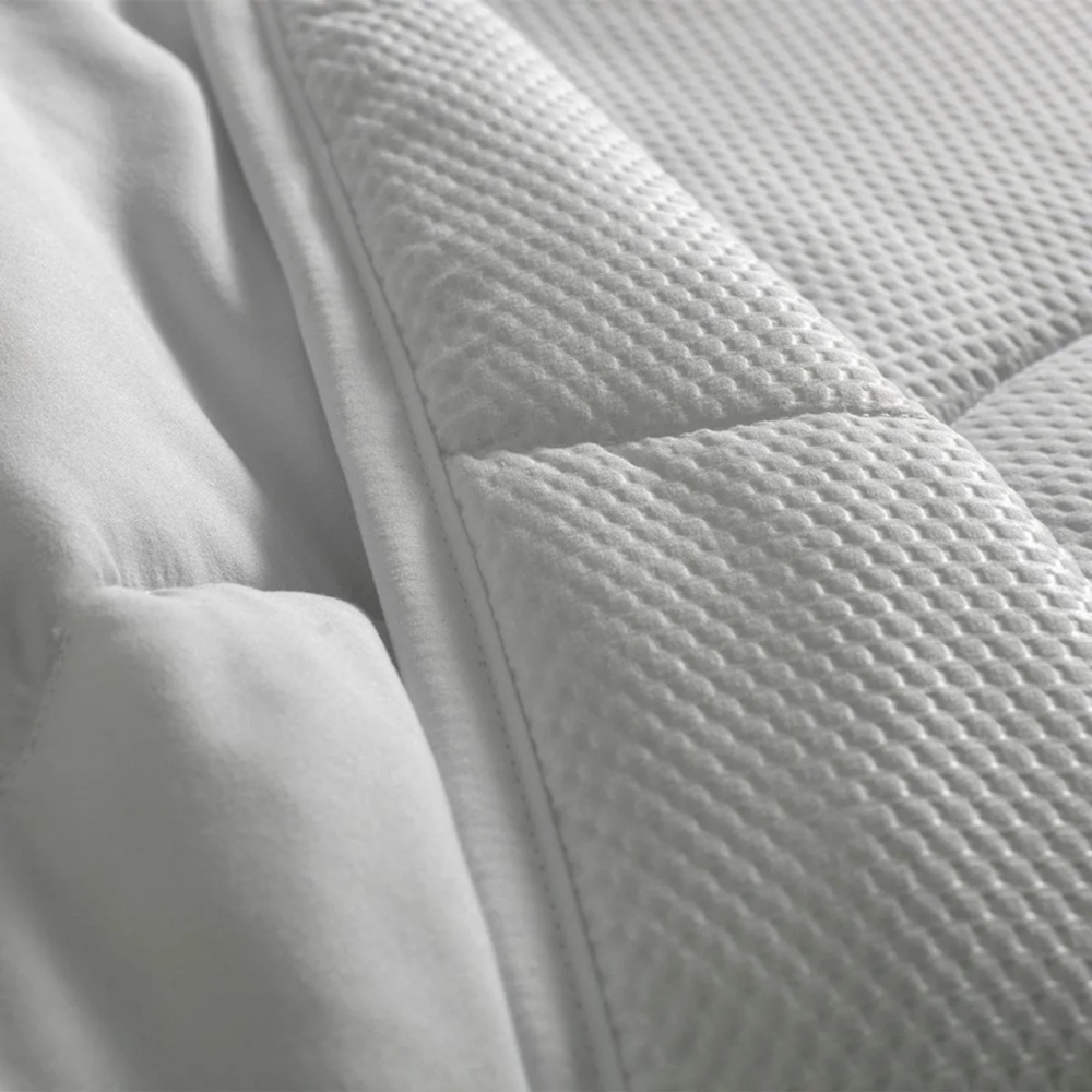 image_2ca0af85-8d8a-471d-be6f-d95435203666