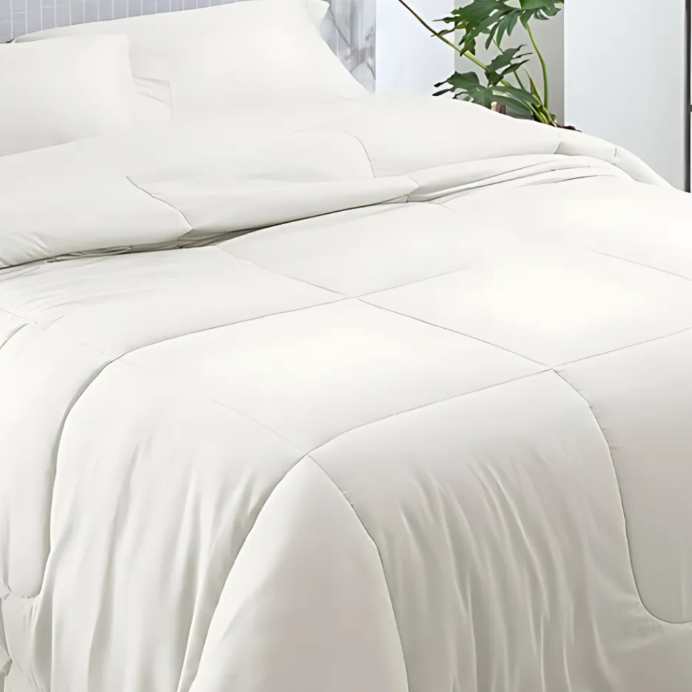 image_42e47eba-fbd9-48e6-bb43-a311d3dc3c27