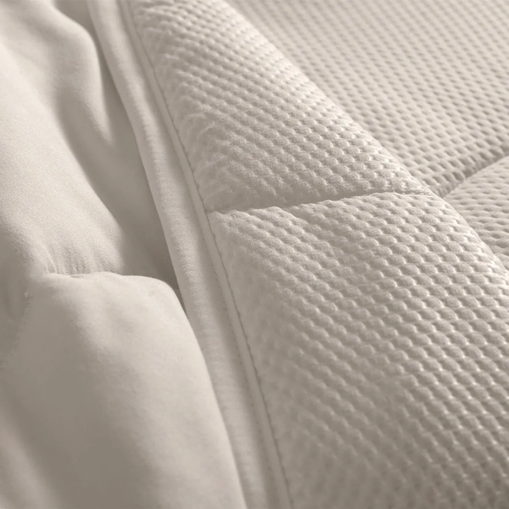 image_41fd363a-3bbb-49c8-b2fe-8ecfd11fe8e9