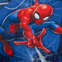 Spider Man