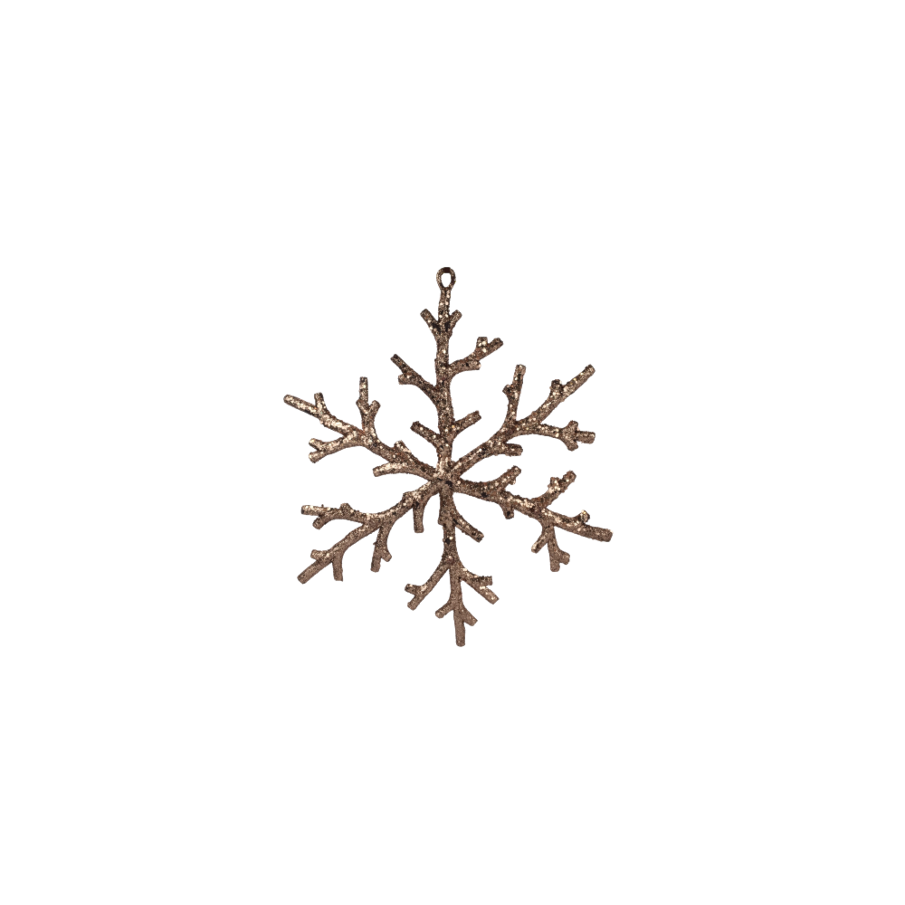 image_cfb02d4e-c068-4d95-90c1-e98829a53c04