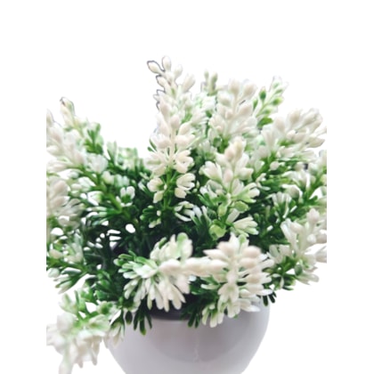 image_a82925b1-9a17-4557-a3ba-1c4814bcbd36