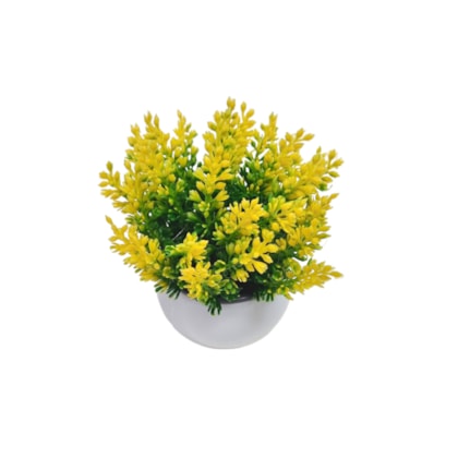 image_d62a9fa9-6f20-4550-b273-69526706a1a7