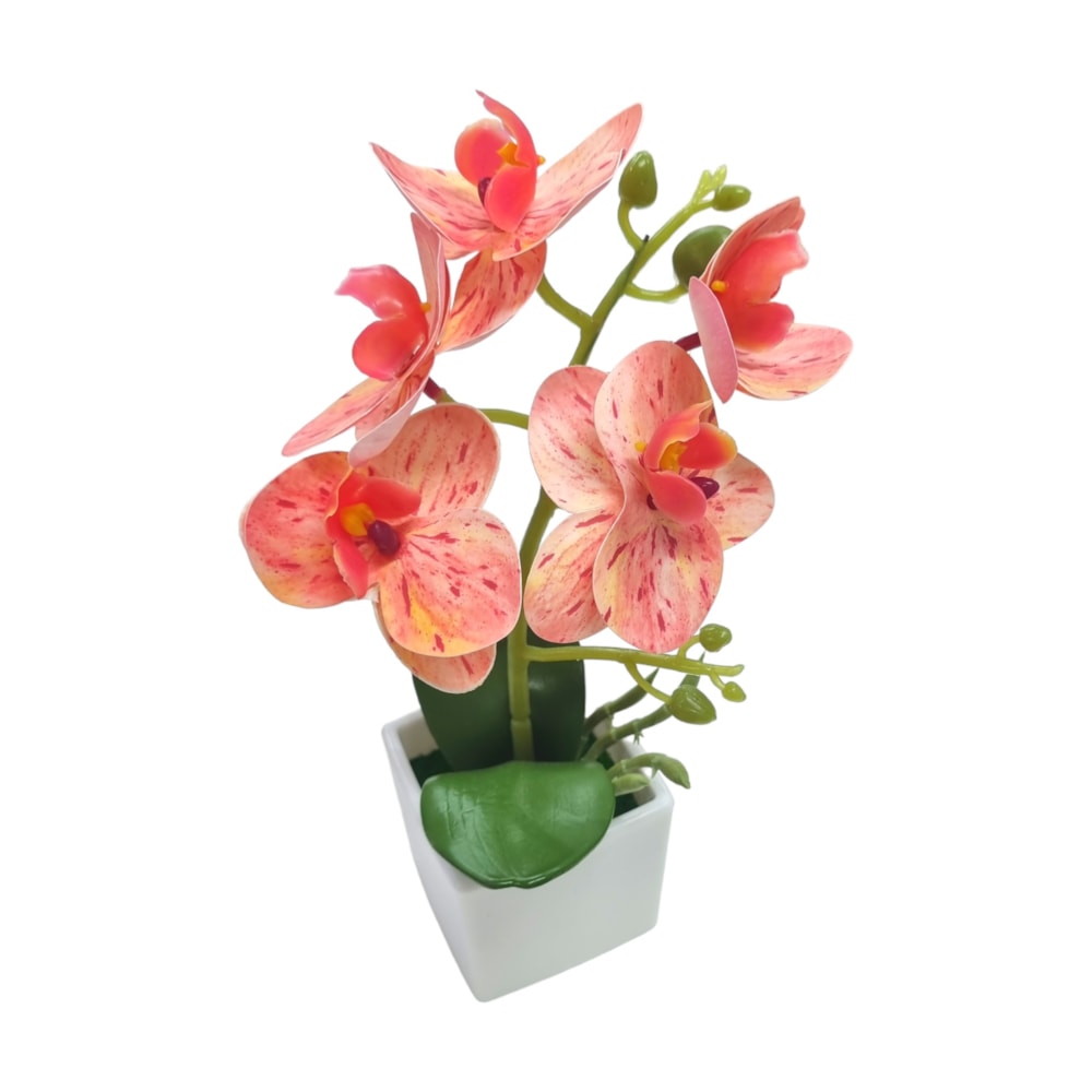 image_eee82ed8-81c4-433f-a31d-3f8015e8427b