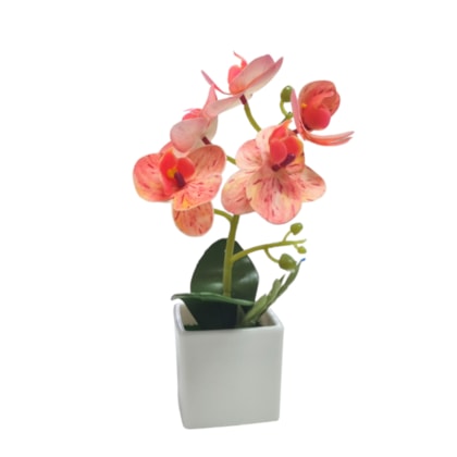 image_6eae36b4-f946-4e10-abda-4ab492f1f8d7