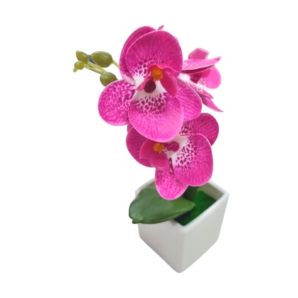 image_651baf1b-d678-4ddf-bbd6-972da64b9d60