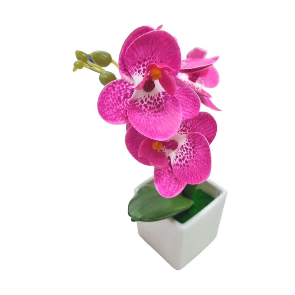 image_cea9d7e3-dbe0-4131-83dc-b75fdde877d7