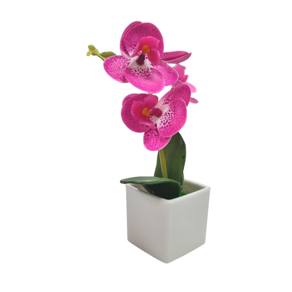 image_548b25a4-f62f-4ebb-ae05-45e0596526ac