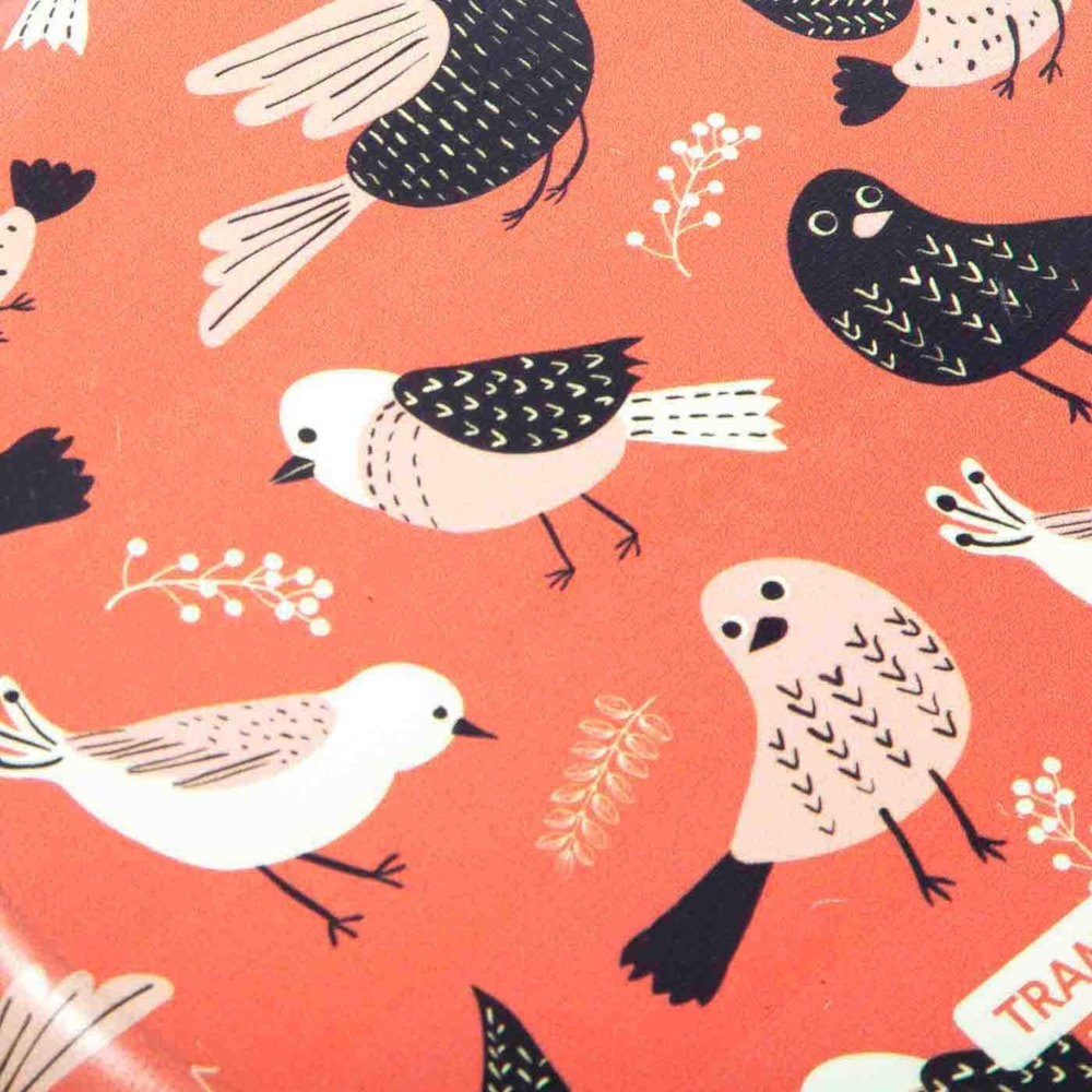 image_0db7d386-35cb-47b5-8115-0e39700d2d83