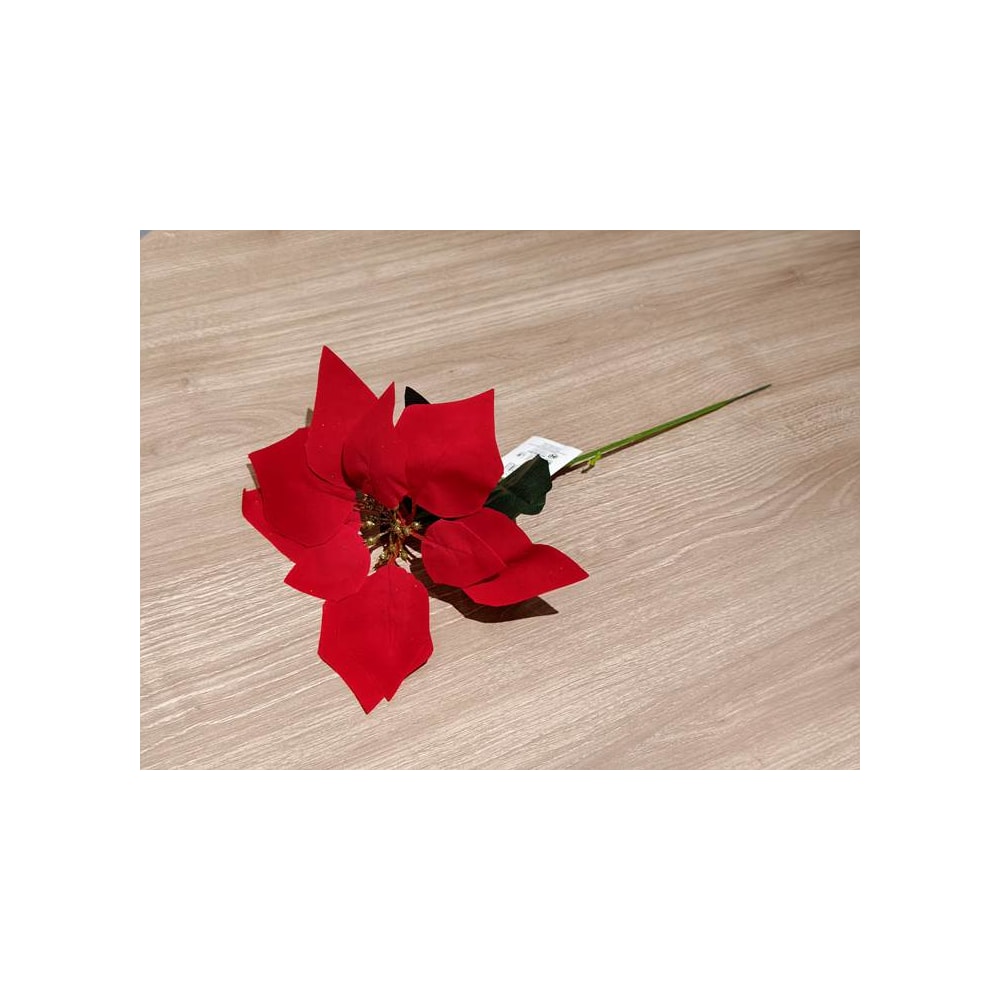 image_96632809-c0fb-4f4f-91b9-11e297c09682