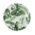 Araras Verde/Branco