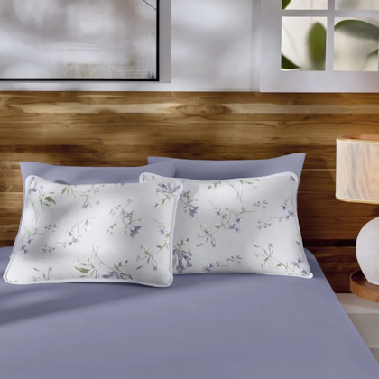 image_e1b3a890-9734-4464-b128-d4ec462a0262