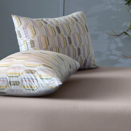 image_d54b4e38-a2fc-46ad-a4fa-866886c972ce