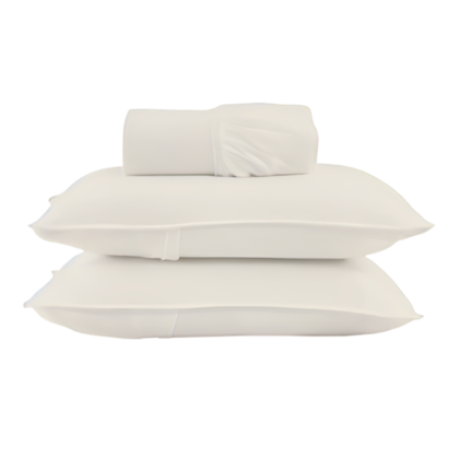 image_ec622e22-3f39-4ab0-adf6-7f40d5685d95