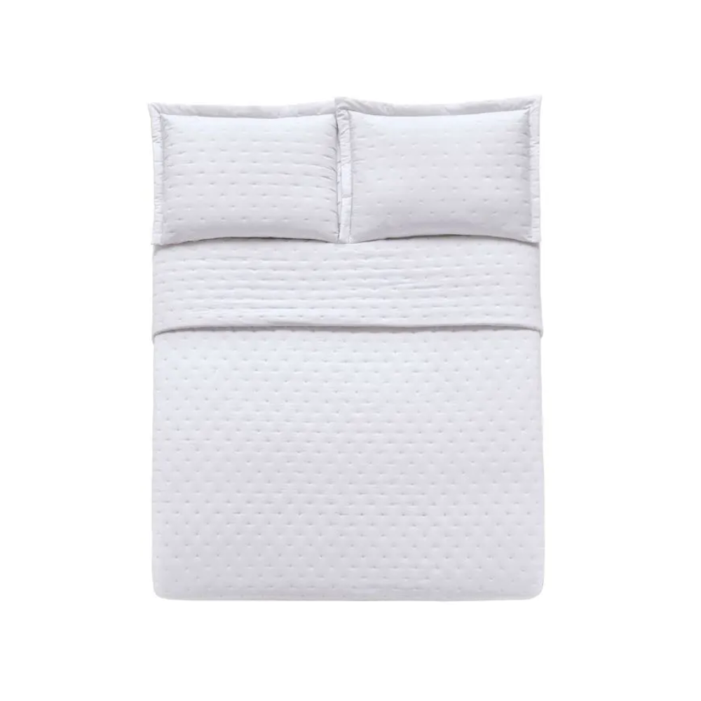 image_e137dc97-3f5a-43df-8d20-9e21da339733