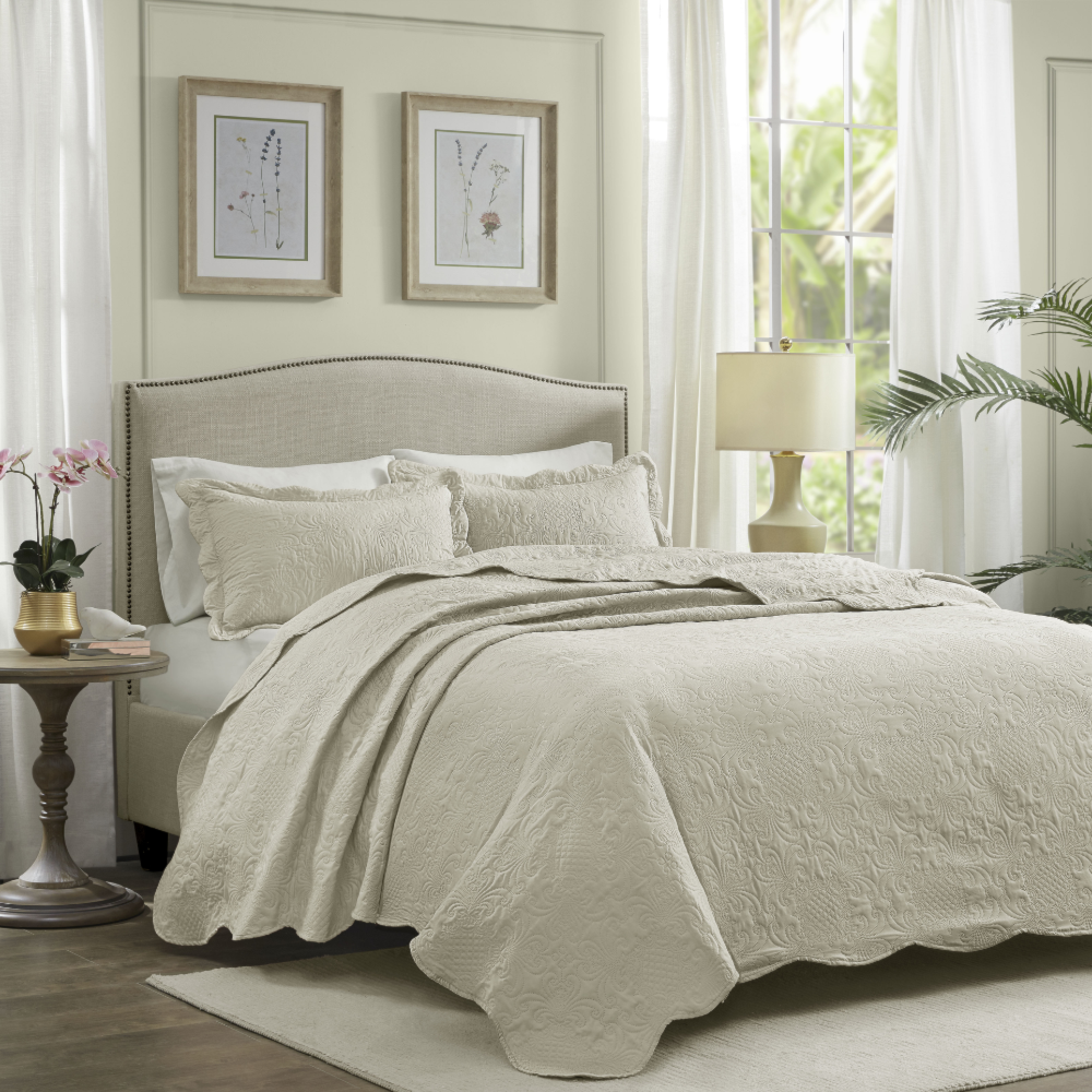 image_d561cdcb-855e-4d1d-bec7-3d734c4f0d0f