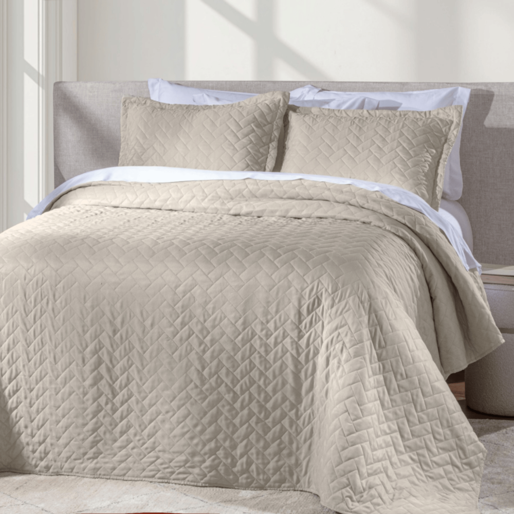 image_cc1cd168-d13b-4af7-94f3-6fe92f7bb94f