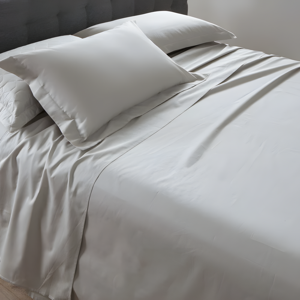 image_e571c0ce-56c0-4c19-b69c-a9da5e0d7c1a